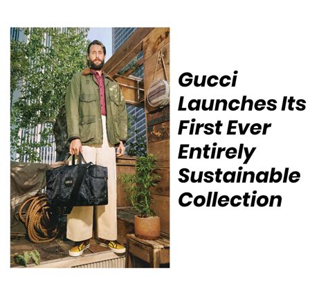 is gucci a sustainable brand.